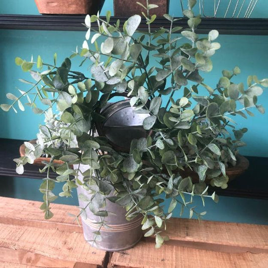 eucalyptus candle ring 5.5 inch ring and 12 inch spread