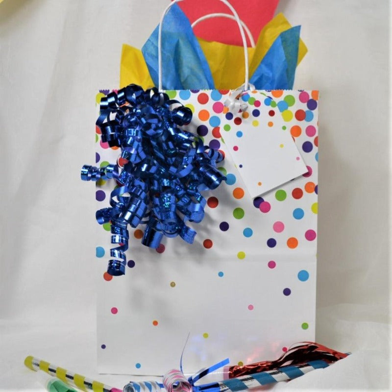 cub sized rainbow confetti paper gift bag with coordinating curly ribbon bow, name tag and tissue paper